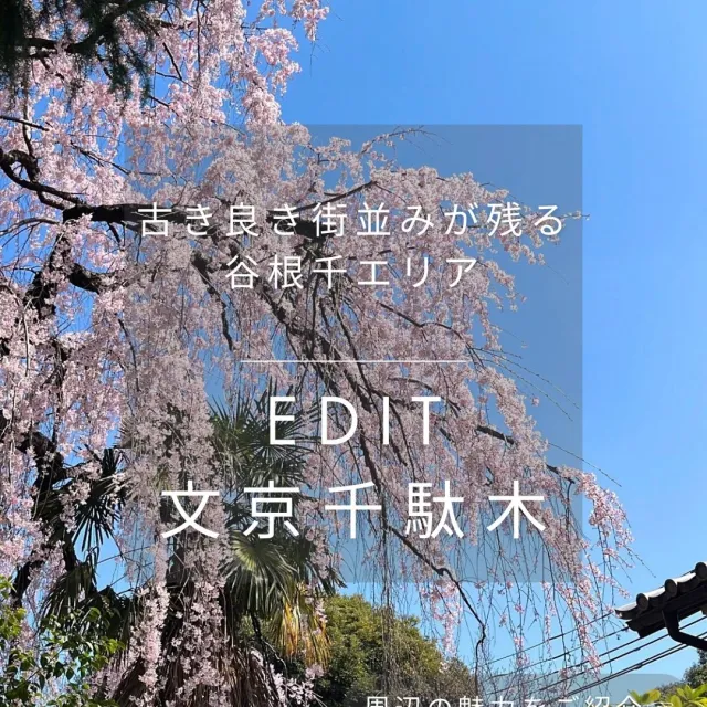 【谷根千エリアの魅力】下町レ...の画像