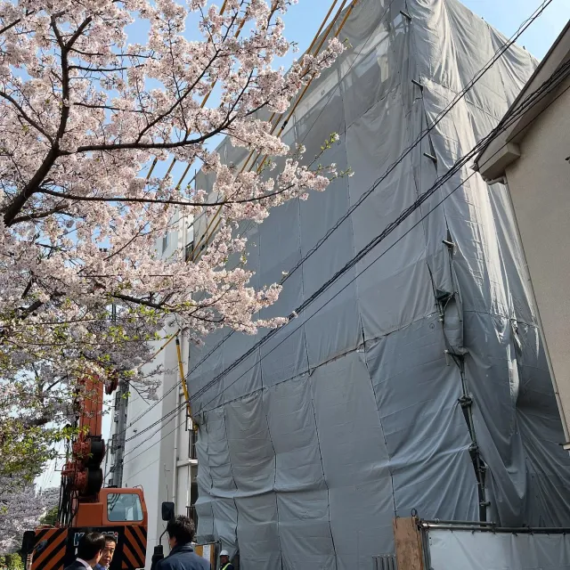 2025年4月◆EDIT大森◆先月末...の画像